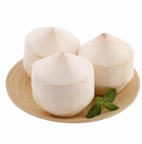 Young Coconut